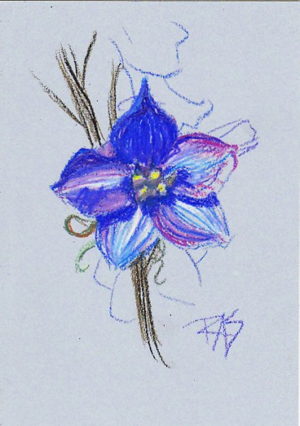 Blue flower study in Louvre oil pastels by Robert A. Sloan.