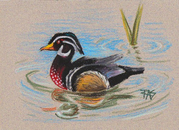 Duck with black and white head, crimson speckled chest and orangy-brown wing painted from Walter Foster 152, pages 24-25.