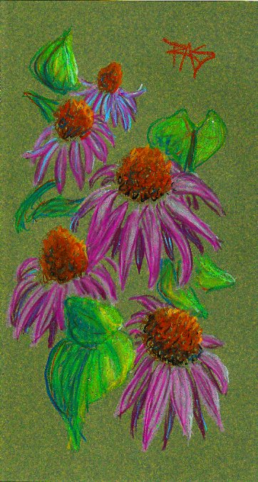 Pink-purple cone flowers on a dark green background in Oil Pastels Workstation oil pastels by Robert Sloan.