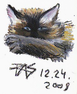 Gesture drawing turned color study of a cat's face, forepaw across muzzle.