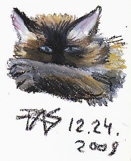 Gesture drawing turned color study of a cat's face, forepaw across muzzle.