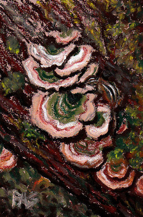 Shelf Fungi and Chipmunk by Robert A. Sloan, oil pastel on Art Spectrum Colourfix