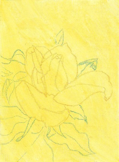 Yellow Rose canvas paper with first Raw Sienna wash and outlines visible.