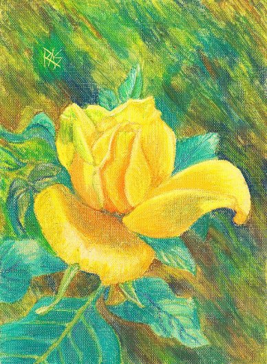 Yellow rose painting in oil pastels on canvas paper by Robert Sloan