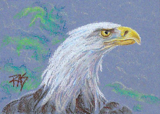 Oil pastel drawing of bald eagle in profile, neck strong, fierce, wings rising, shown from shoulders up. Loose green foliage in background.