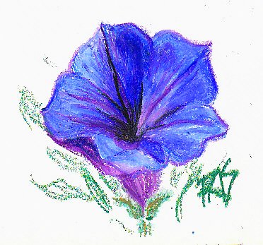 Sketch of a blue flower with loose green leaves on white in Van Gogh oil pastels