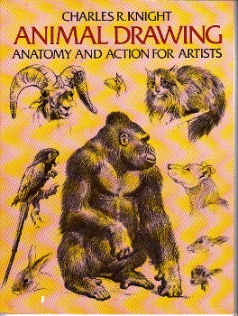 book cover Animal Drawing by Charles R. Knight