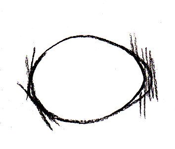 Sketch of egg shape