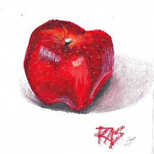 Red Delicious Apple in Sennelier oil pastels by Robert A. Sloan.