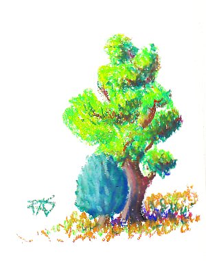 Tree and Bush study in Caran d'Ache Neopastels oil pastels