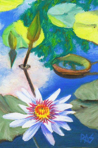 Water Lily Pond, Caran d'Ache Neopastels on Rich Beige Colourfix sanded pastel paper.